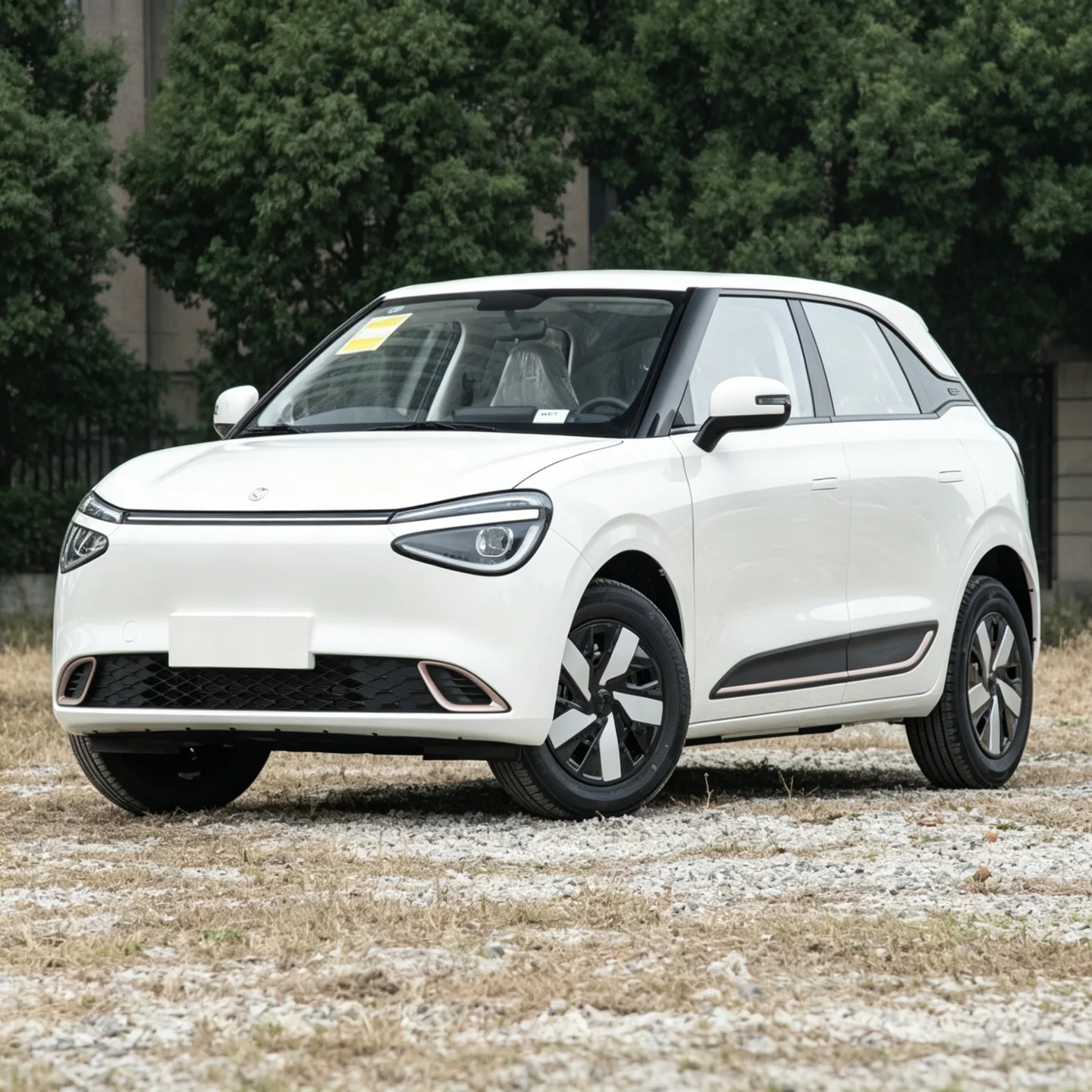 Dongfeng Nammi 01 in catalogue image
