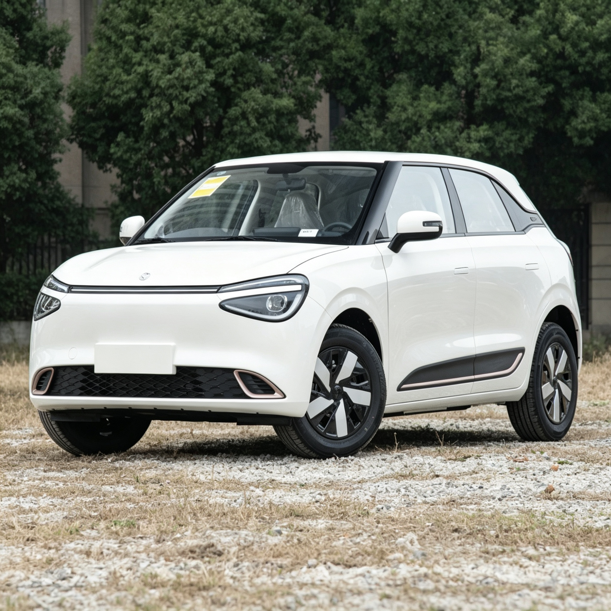 Dongfeng Nammi 01